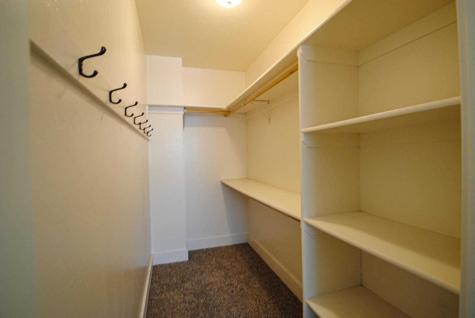 Primary Bedroom Walk-In Closet Featuring carpet