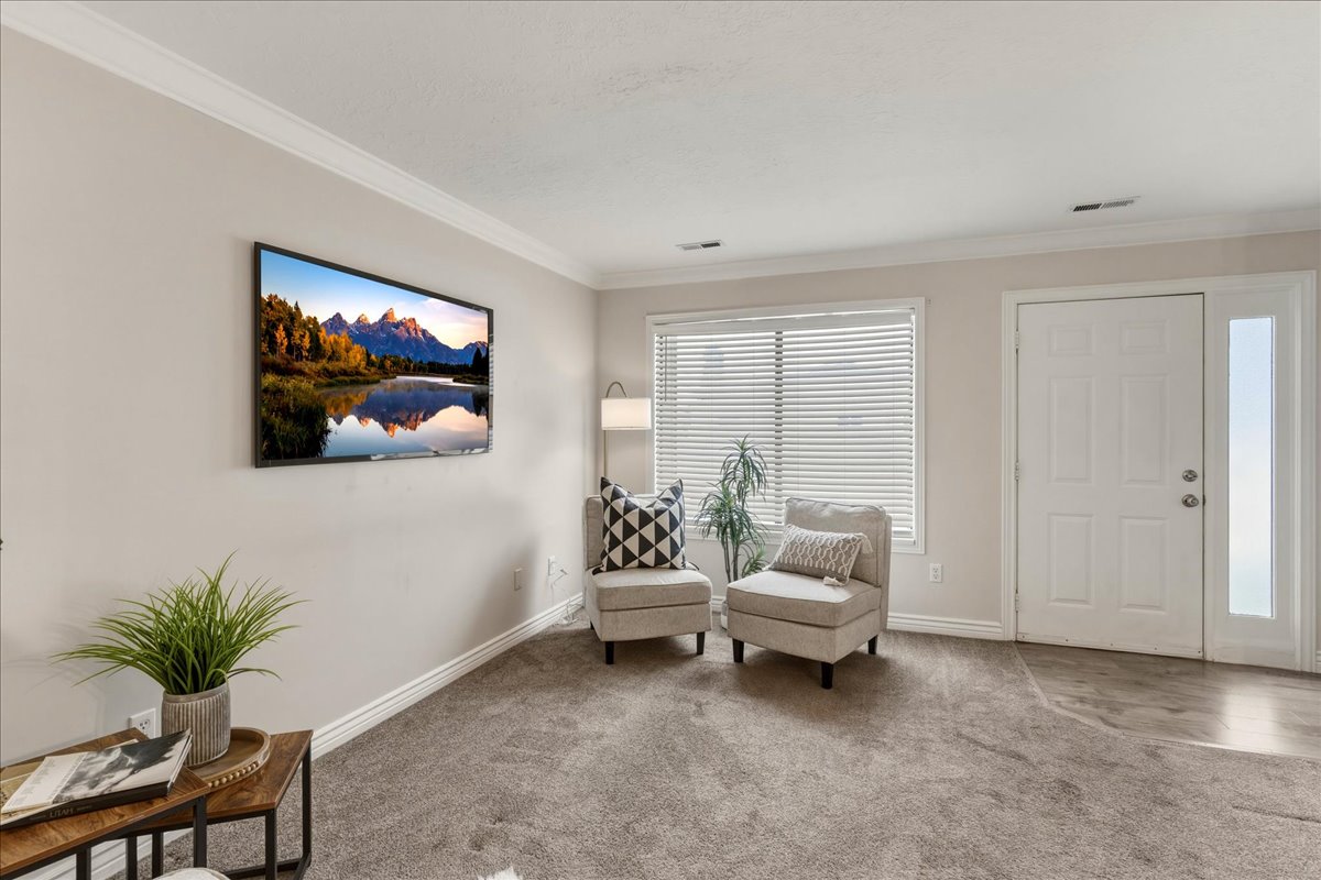 Living area featuring ornamental molding and carpet floors
