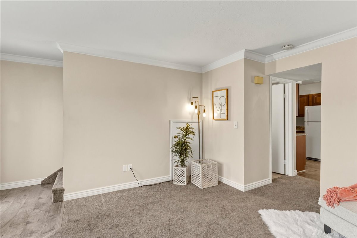 Unfurnished room with ornamental molding and light carpet