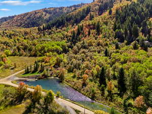 Mountainous terrain featuring diverse tree coverage, including evergreens and deciduous trees in various stages of autumn color