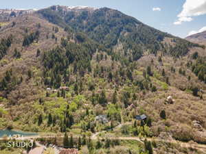 Mountain view with a forest