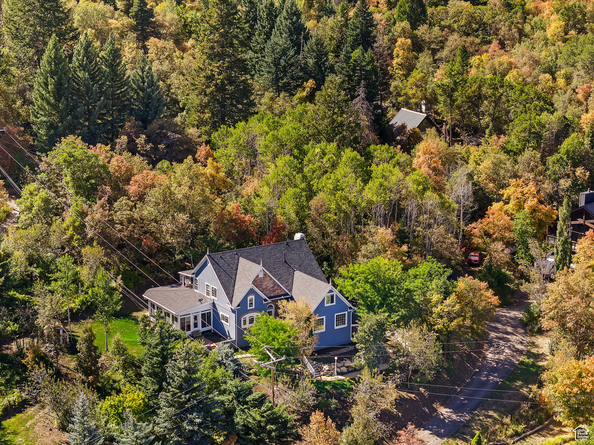 Gable-roof property surrounded by mature deciduous and evergreen trees, featuring blue siding and a dark shingle roof