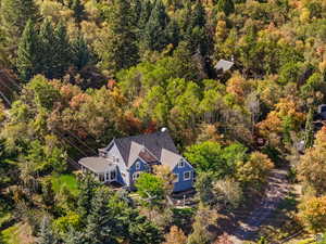 Gable-roof property surrounded by mature deciduous and evergreen trees, featuring blue siding and a dark shingle roof