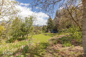 View of grassy yard featuring a trampoline