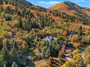 Expansive property nestled among mature trees with vibrant autumn foliage