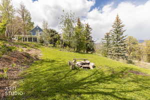 View of grassy yard