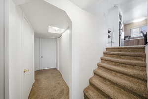 Carpeted staircase leading to an upper level with a partial view of a kitchen