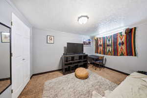 Carpeted interior space featuring light gray walls, white trim, and a white six-panel bi-fold closet door