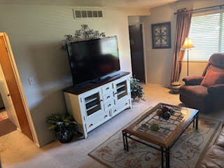 Living room with light carpet