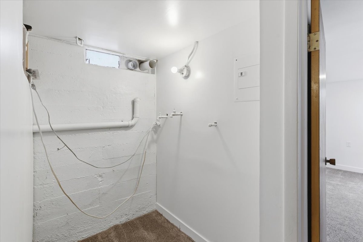 Laundry room with carpet flooring