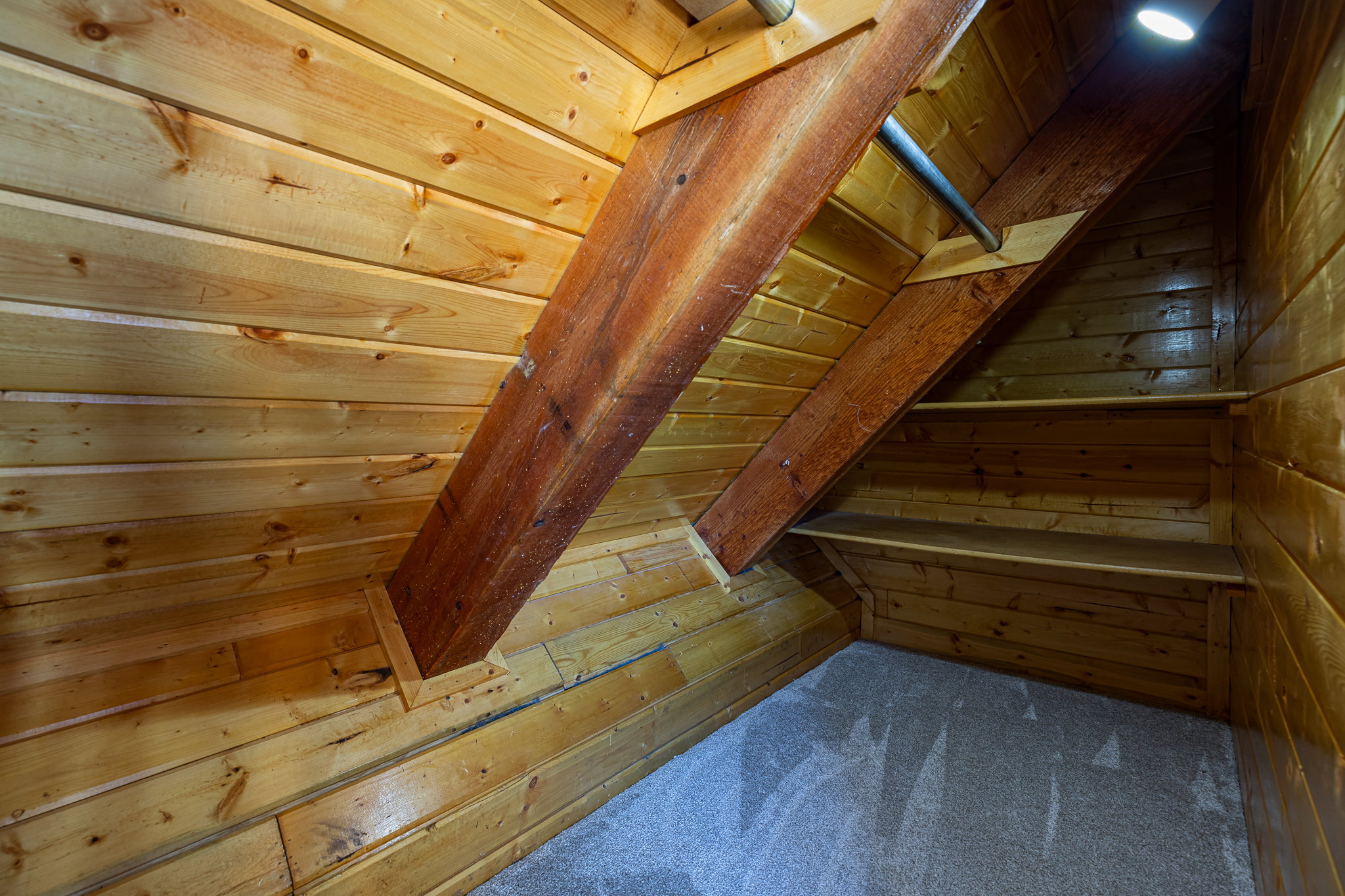 Detailed view of wooden walls and carpet floors