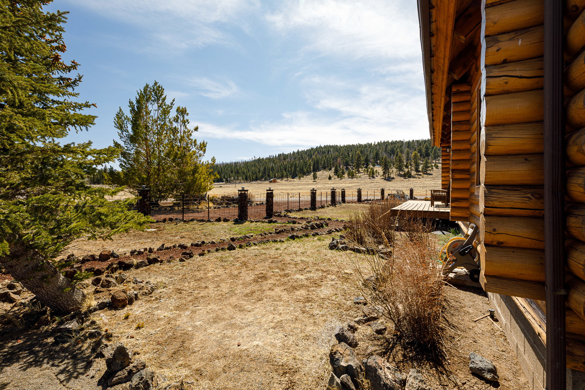 View of yard featuring a view of trees and a rural view