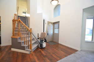 Foyer entrance with dark wood finished floors, a high ceiling, and healthy amount of natural light