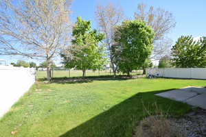 View of fenced backyard