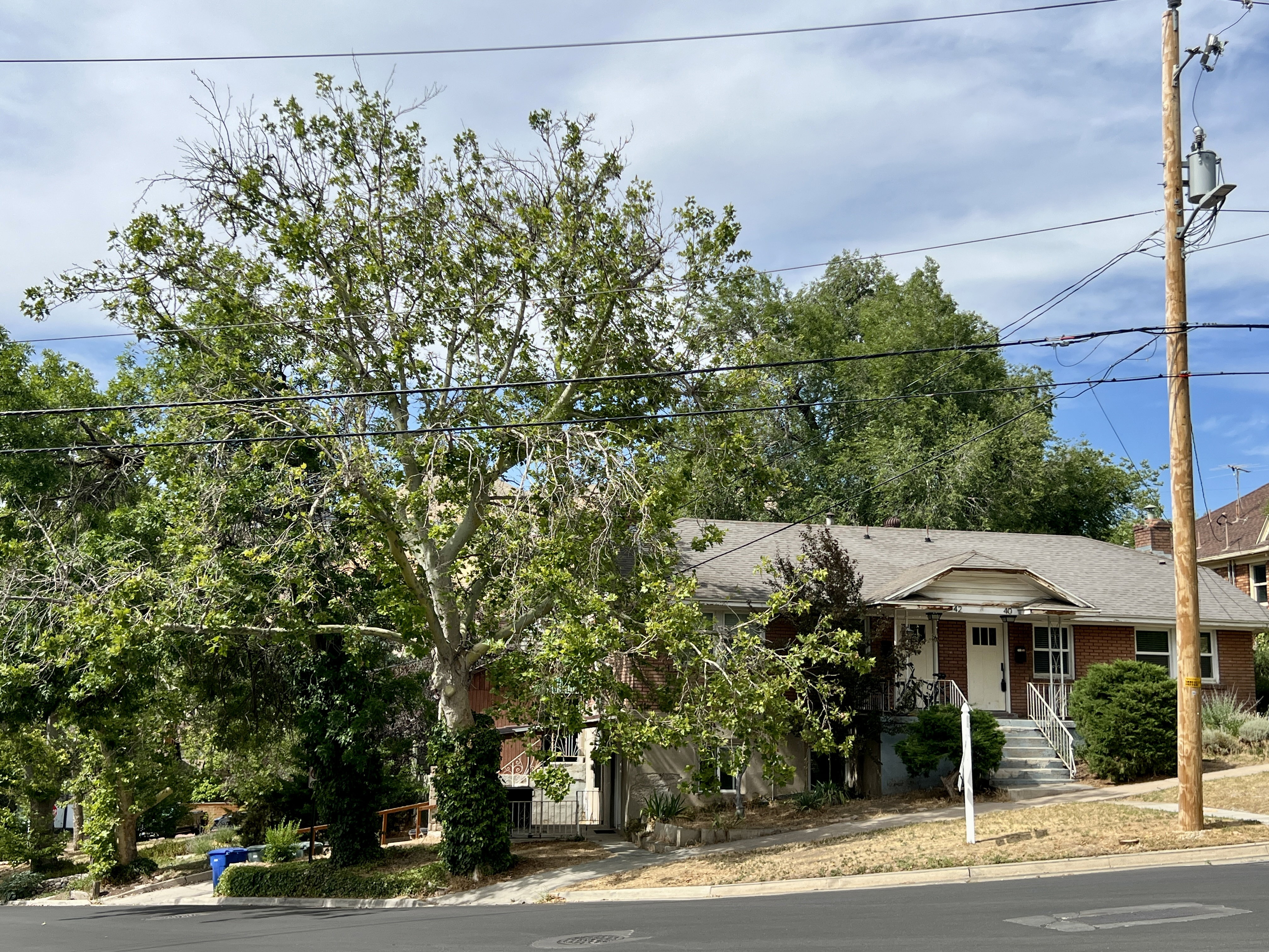 Single-story brick residence with a gabled entry porch, mature deciduous trees, and a sloped front yard
