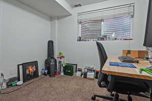Basement Bedroom 2