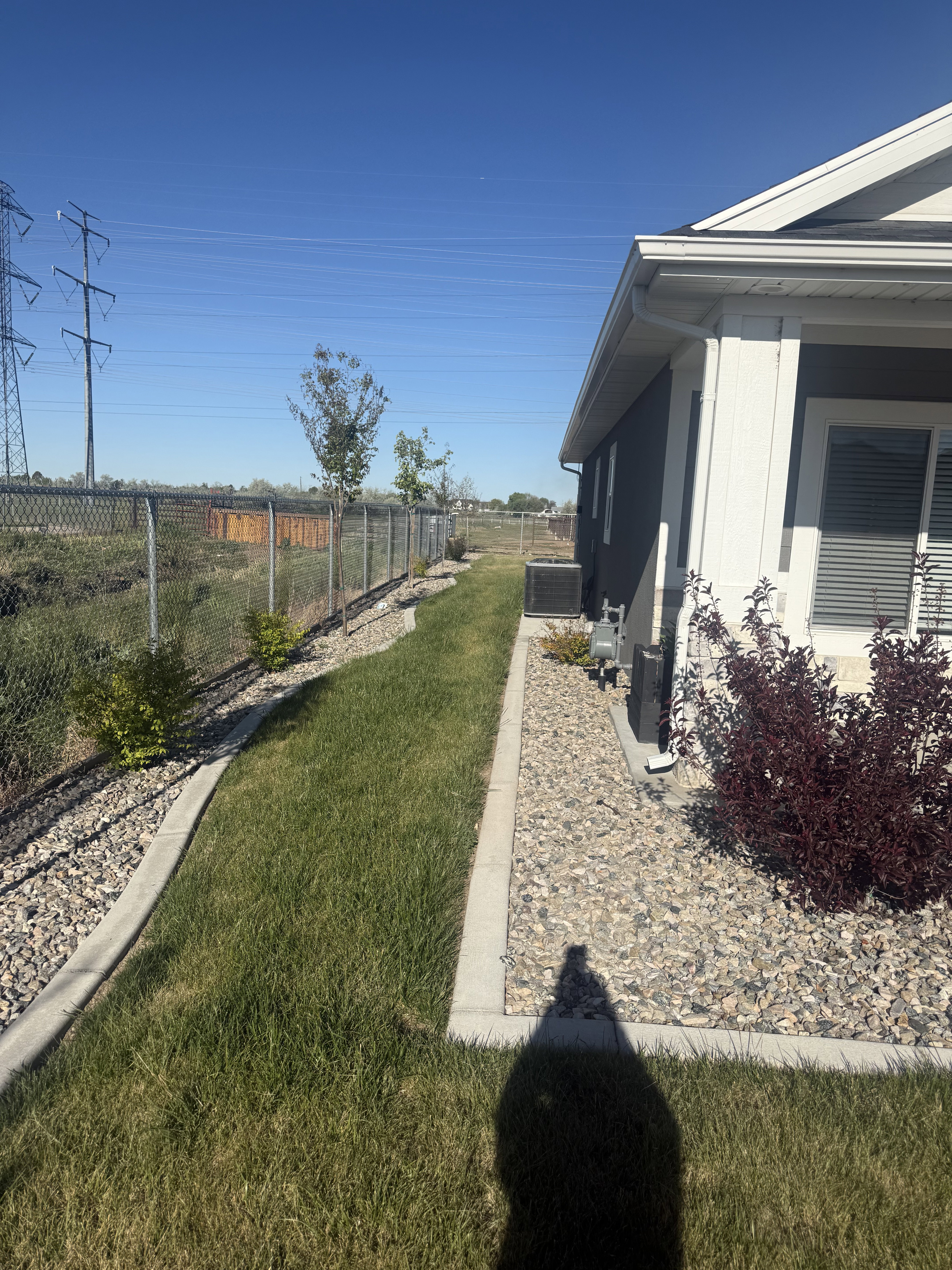 View of fenced backyard
