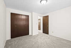 Unfurnished bedroom featuring carpet floors, a closet, and a textured ceiling