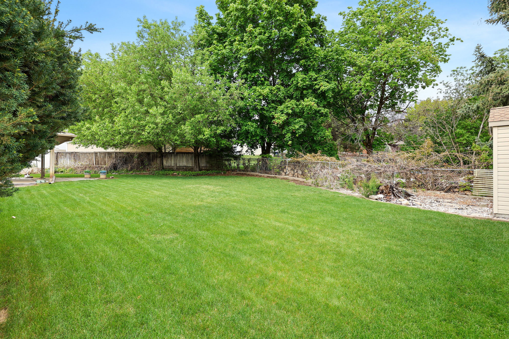 View of fenced backyard