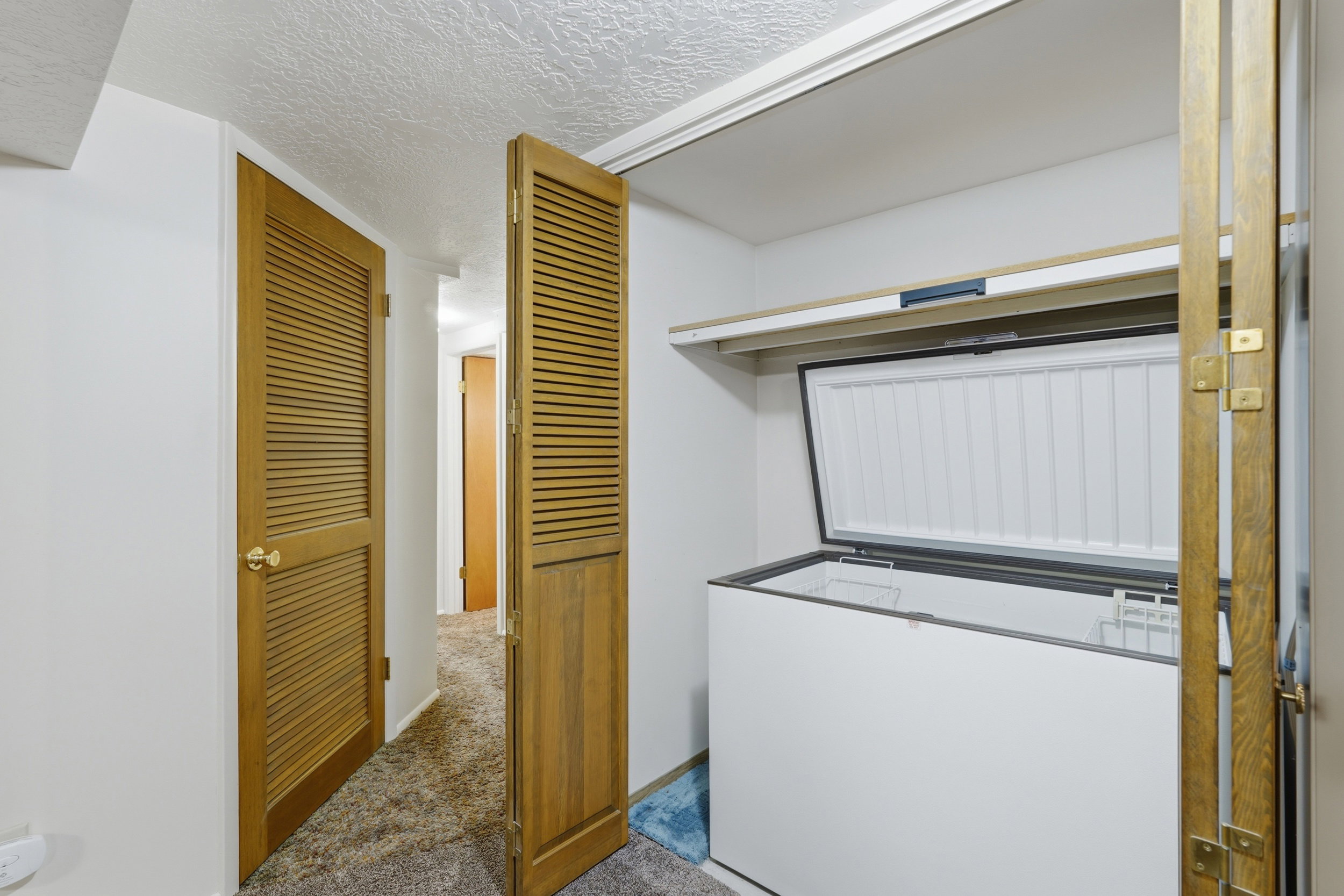 White walls with textured ceiling and wood-finish louvered doors and included freezer.