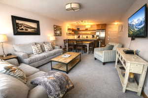 Living room with dark colored carpet and rail lighting