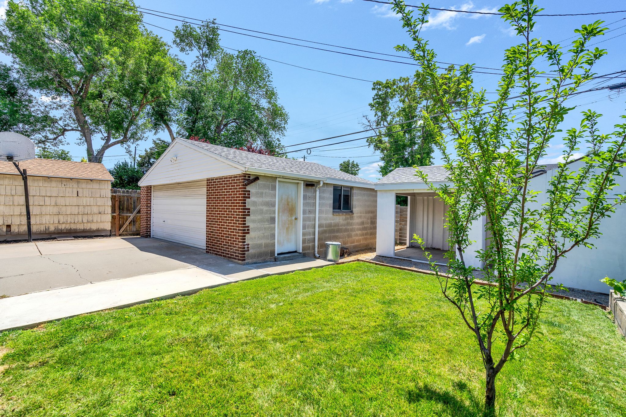Expansive backyard featuring a green lawn, mature trees, and a detached garage with a white overhead door