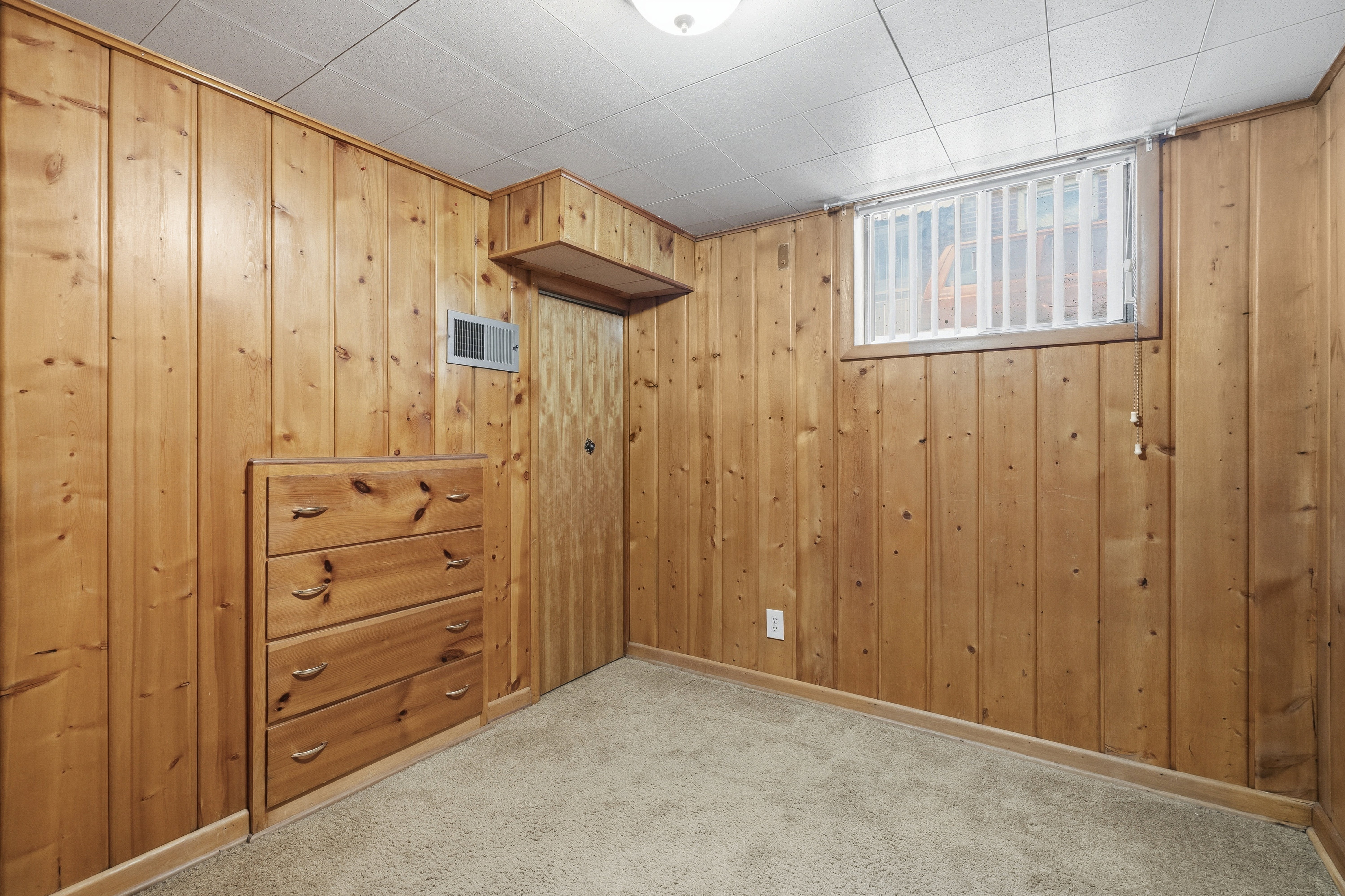 Basement featuring carpet floors and wood walls