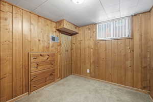 Basement featuring carpet floors and wood walls