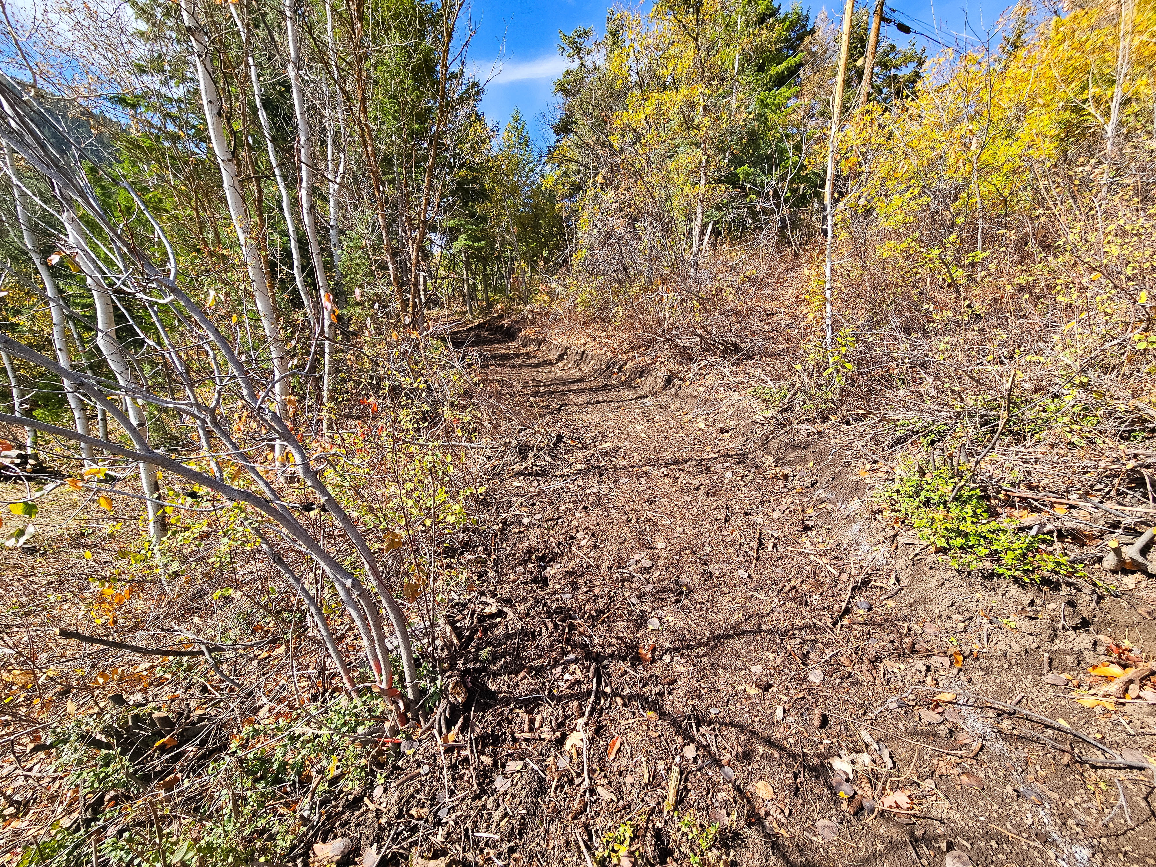 View of undeveloped land