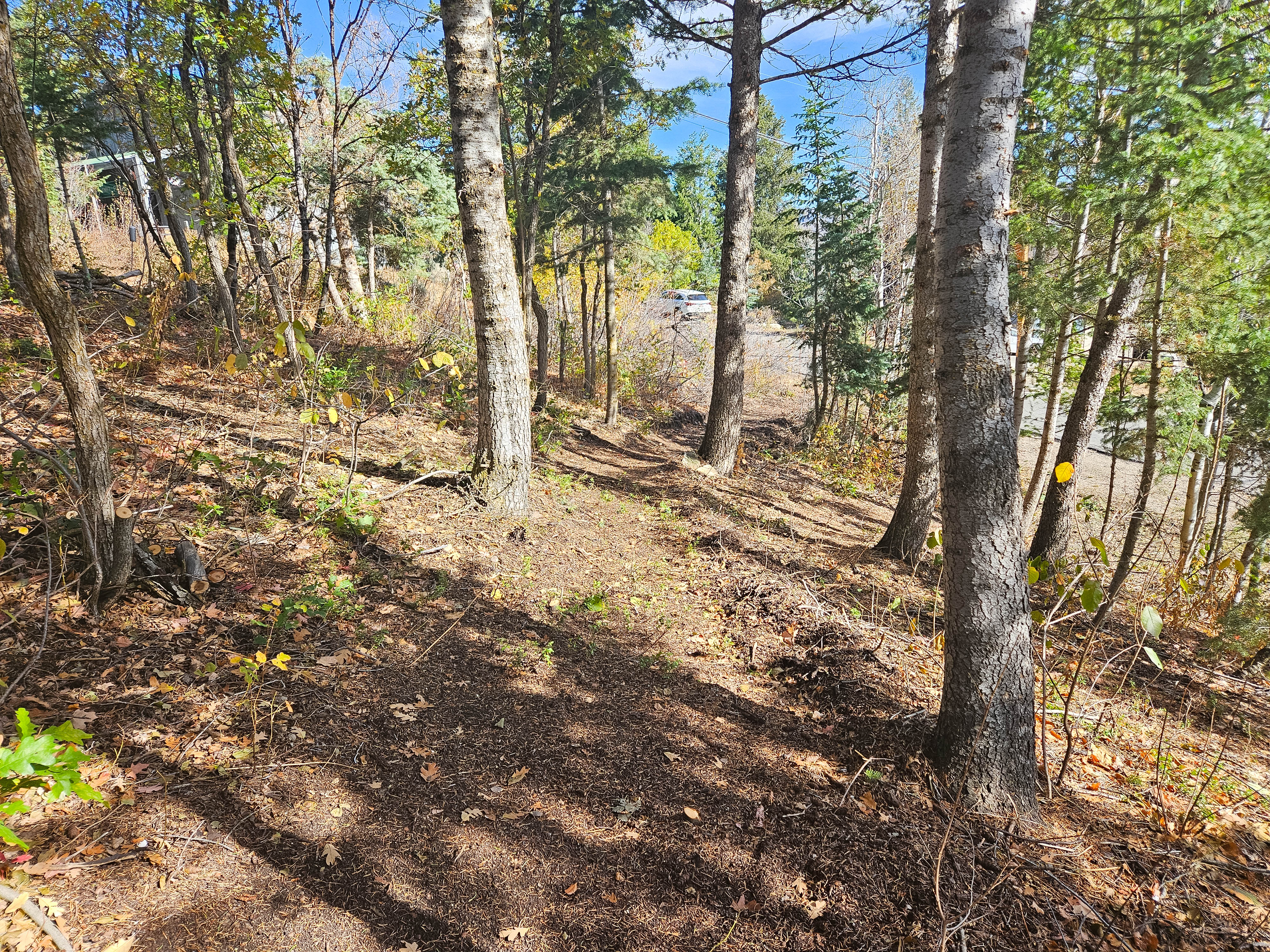 View of undeveloped land