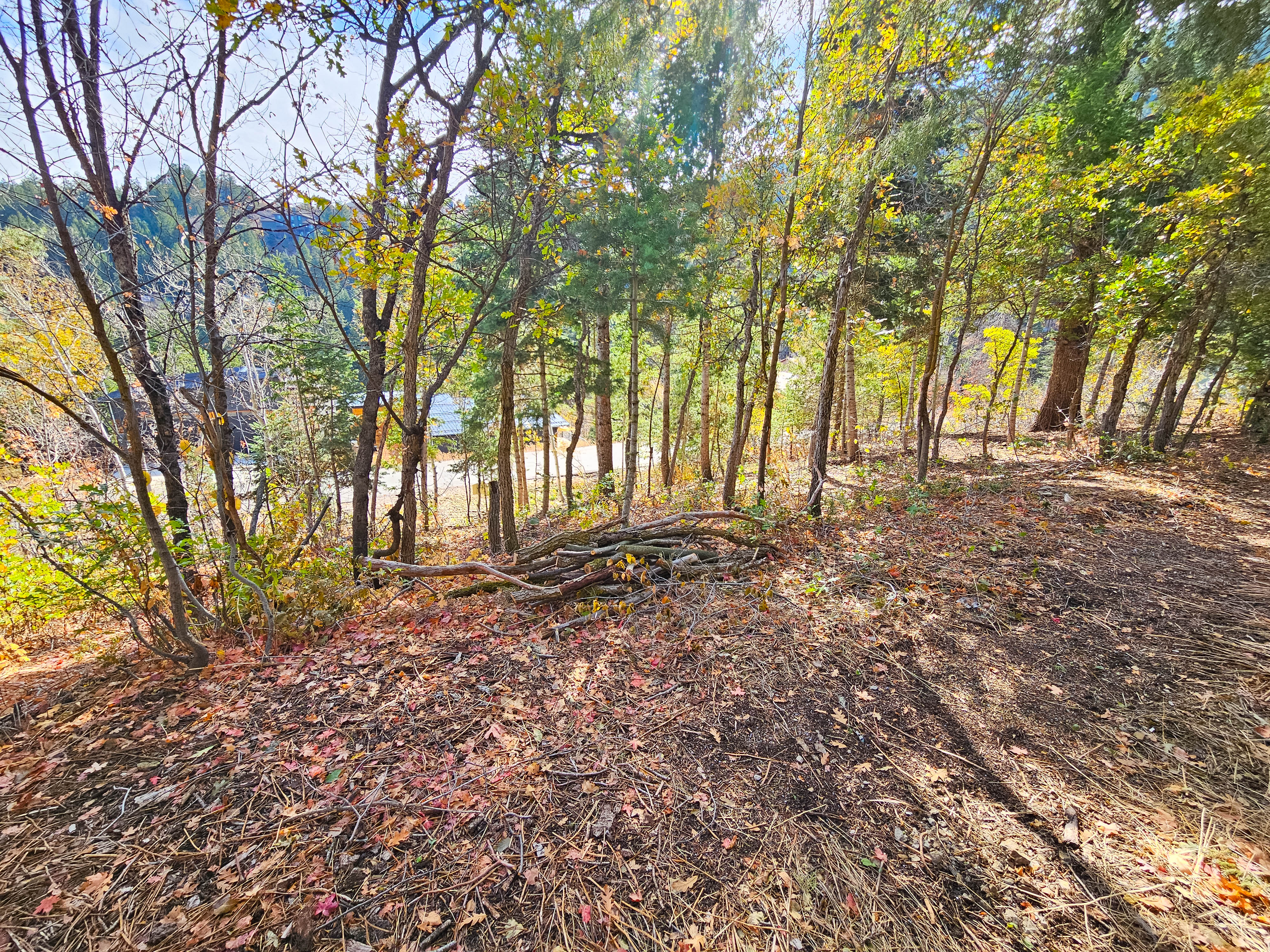 View of nature