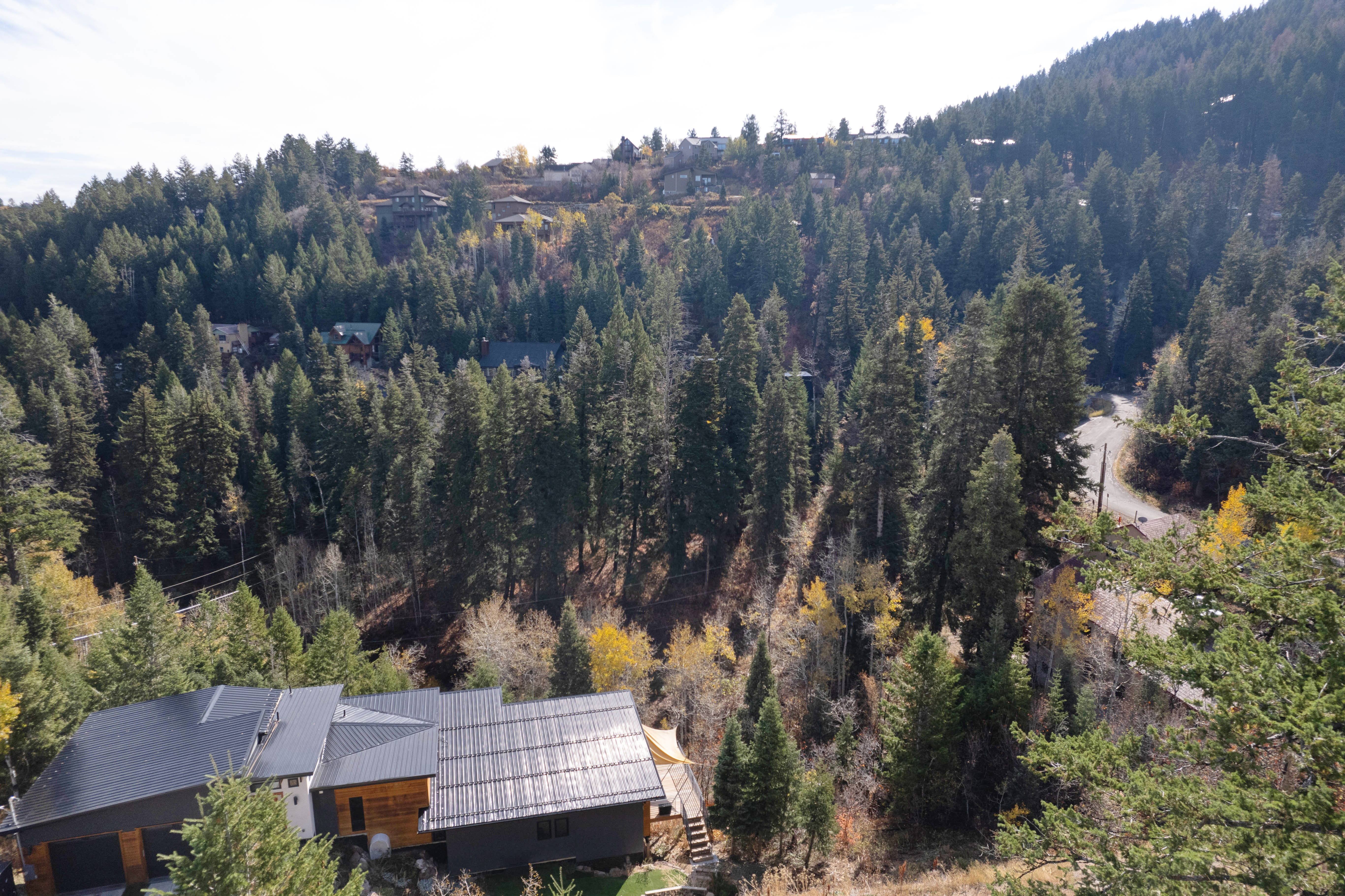 Drone / aerial view of a forest