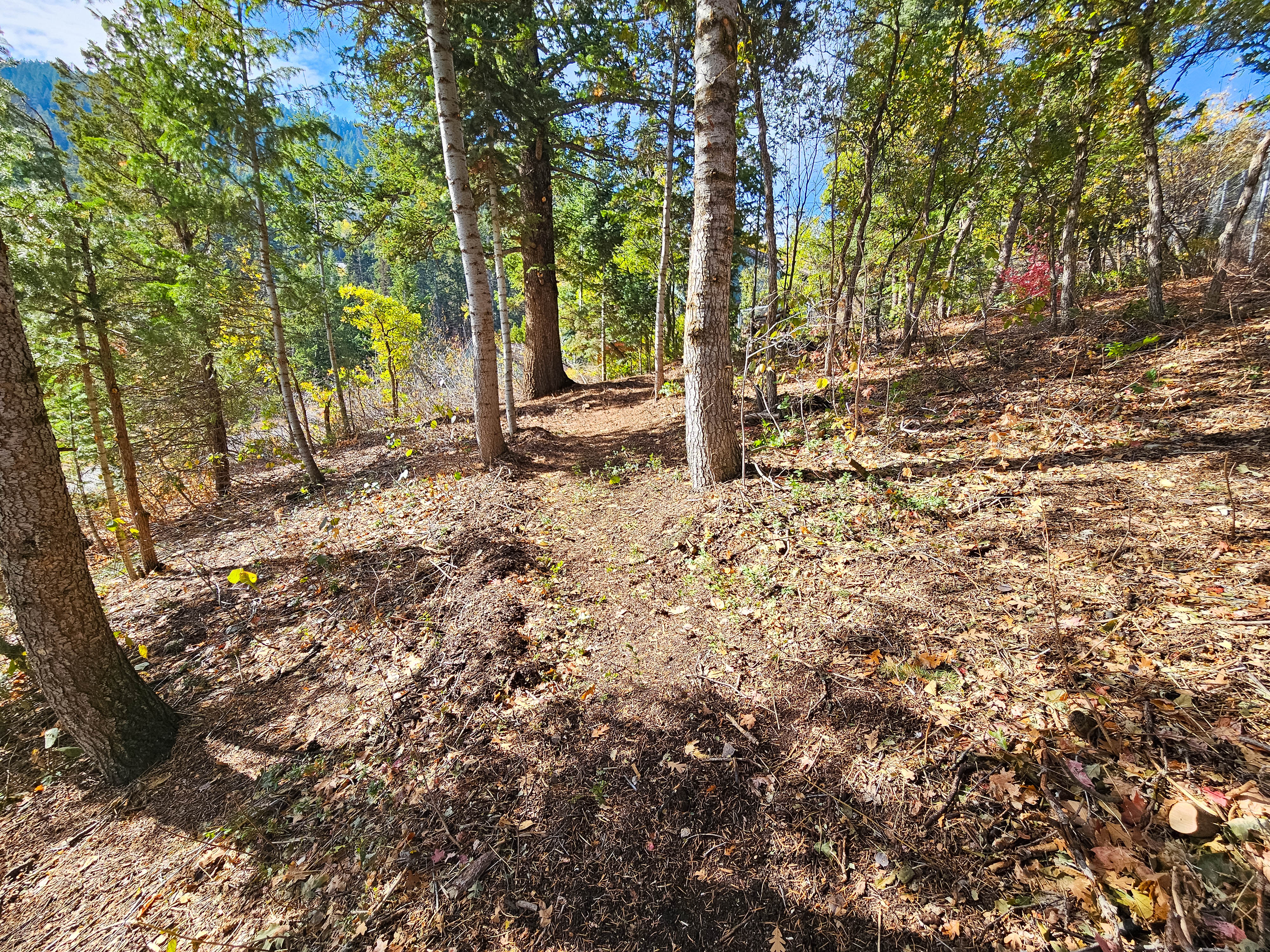 View of undeveloped land