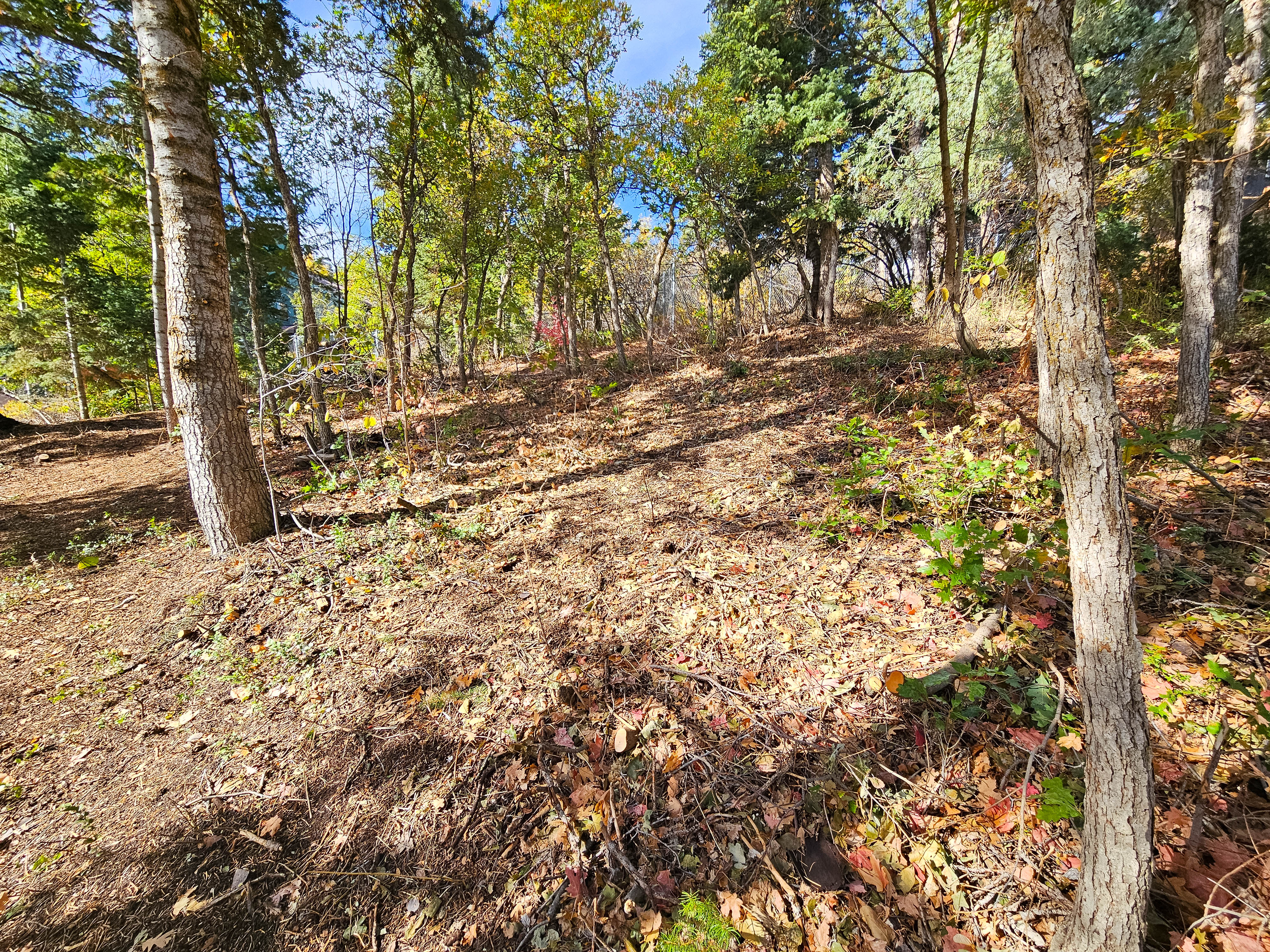 View of undeveloped land