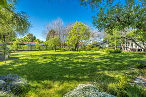 View of fenced backyard