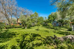 View of grassy yard featuring view of wooded area