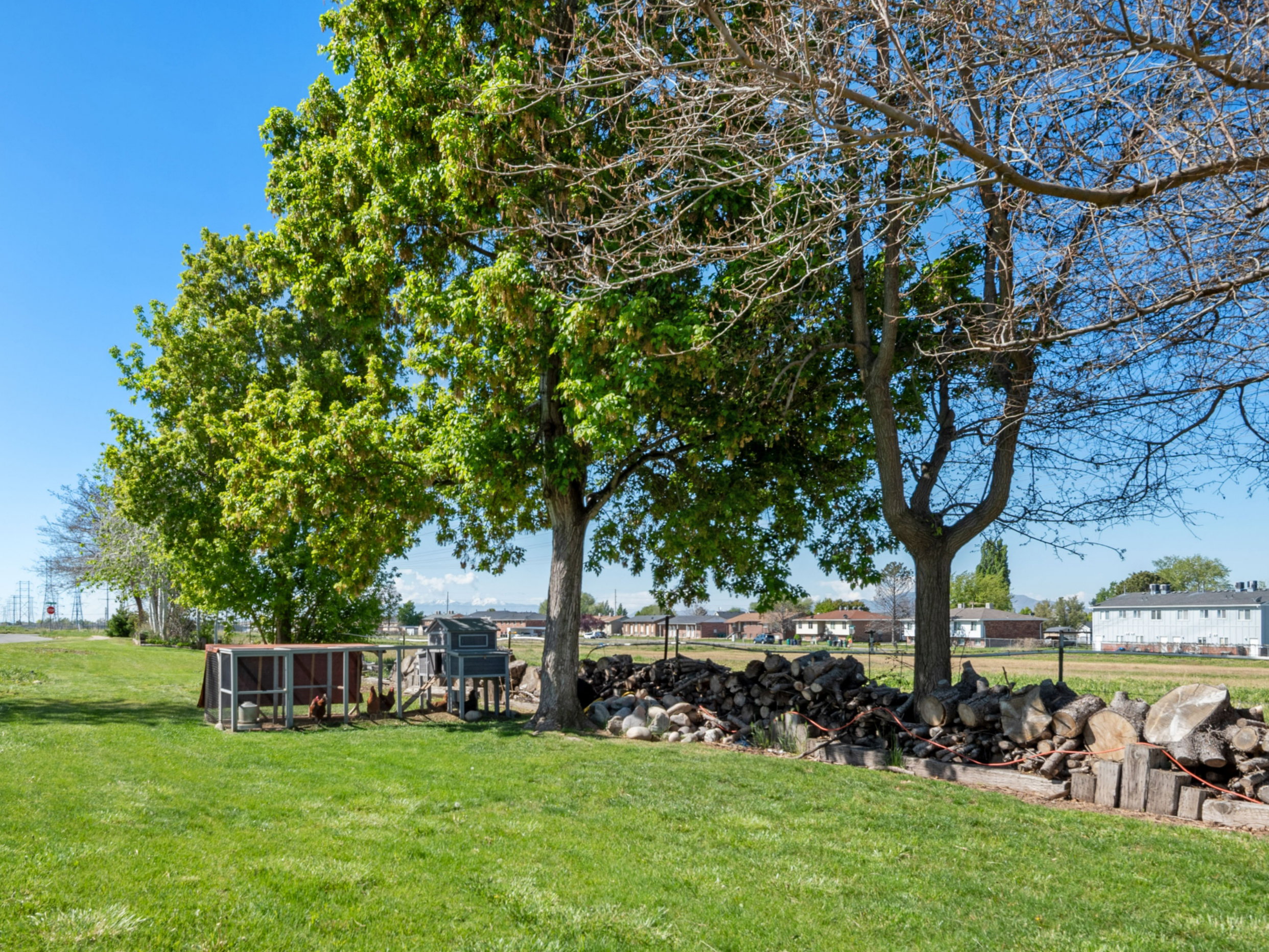 View of grassy yard