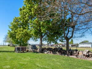 View of grassy yard