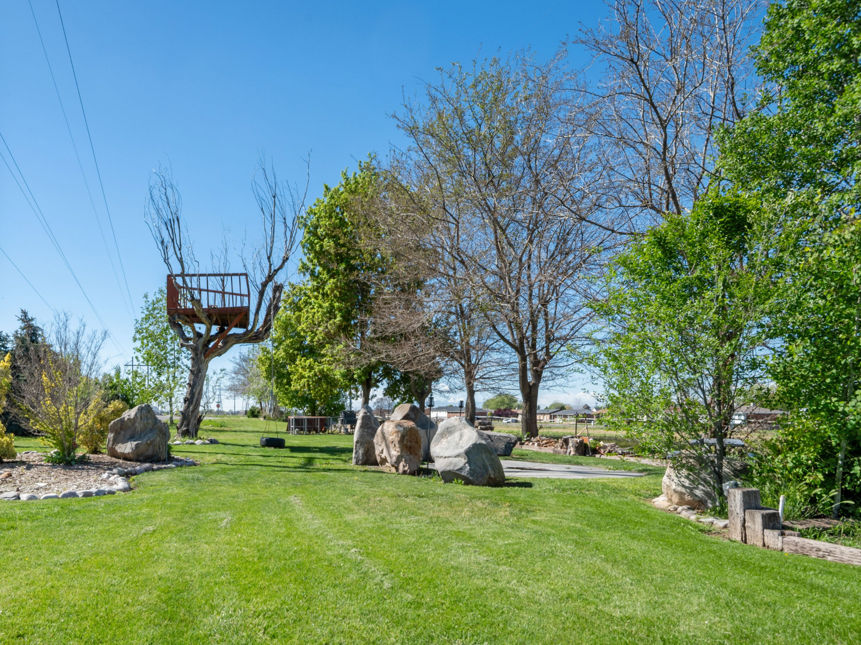 View of green lawn
