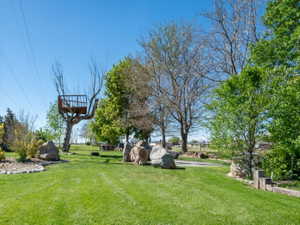 View of green lawn