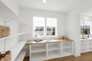 Pantry featuring a sink