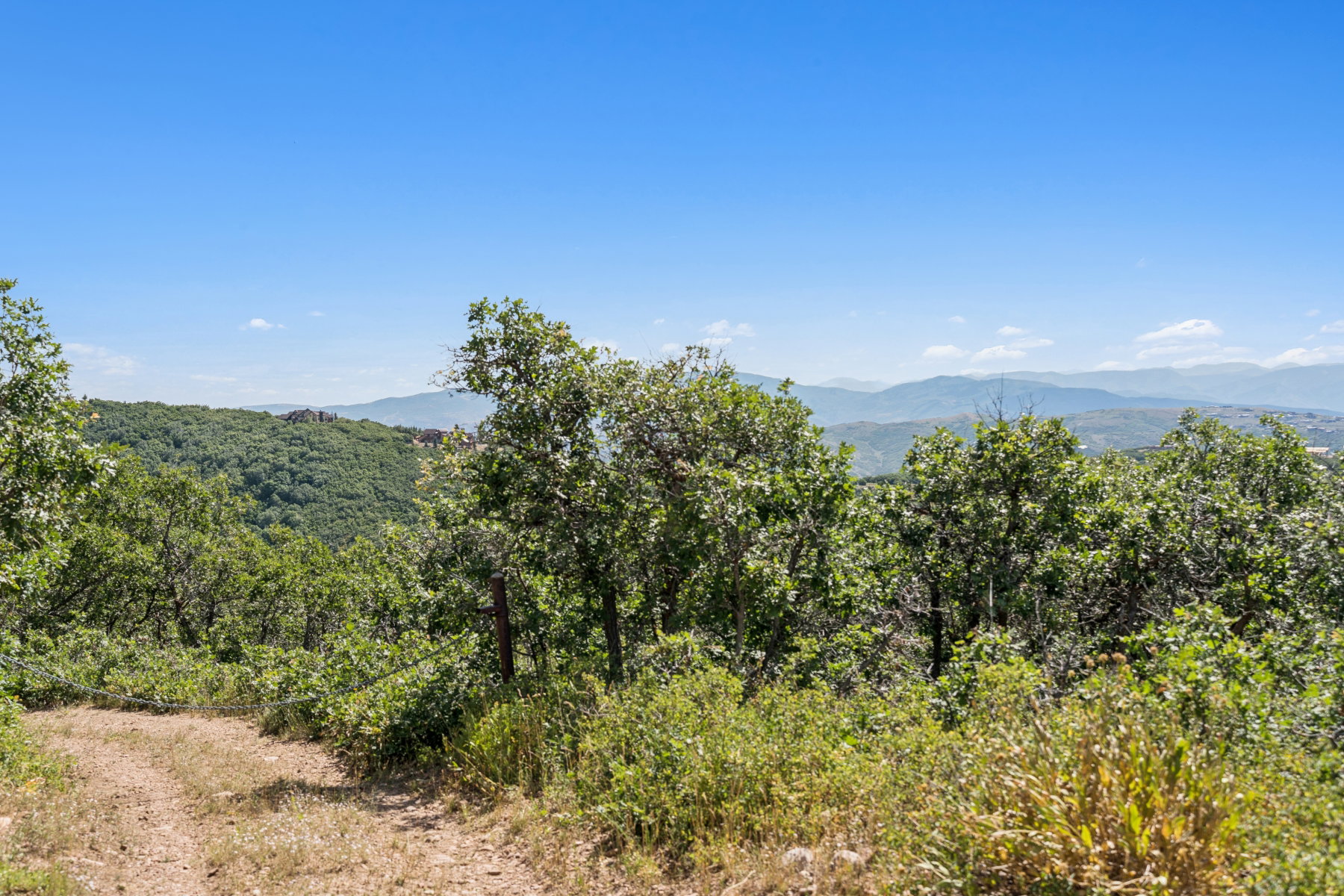 Mountain view with a forest