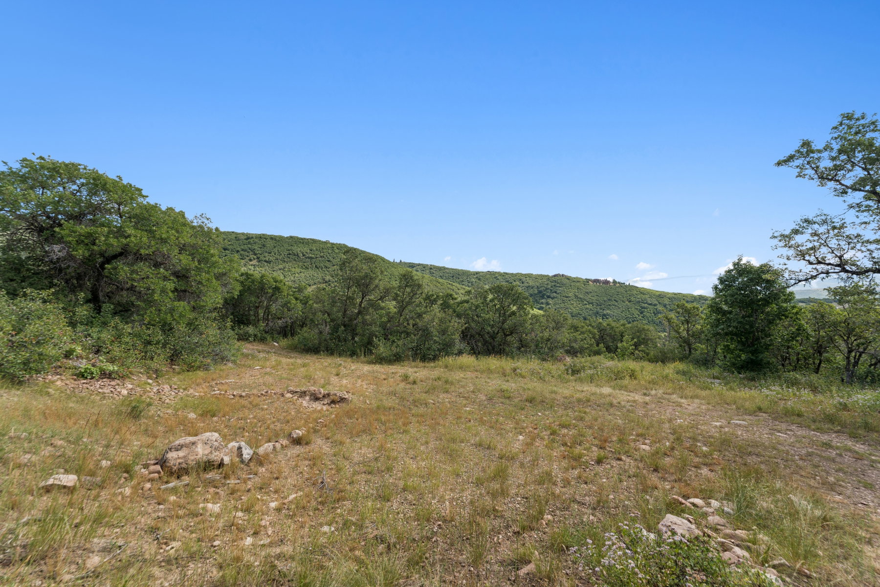 View of local wilderness with a mountainous background and rural landscape