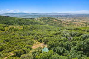 Mountain view featuring a heavily wooded area
