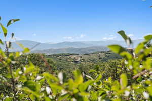View of mountain background