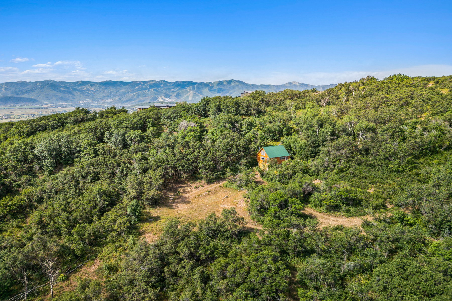 Drone / aerial view of a mountainous background and a heavily wooded area