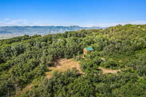 Drone / aerial view of a mountainous background and a heavily wooded area