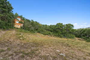 View of local wilderness
