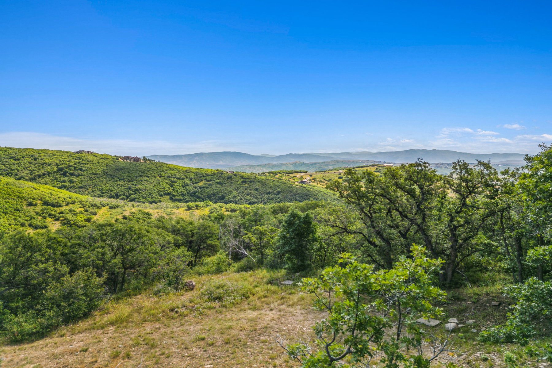 View of mountain background with a forest