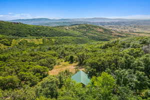 Aerial view of a mountain backdrop and a heavily wooded area